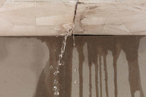 Professional Flood Damage Cleanup technician working in Tenino, WA